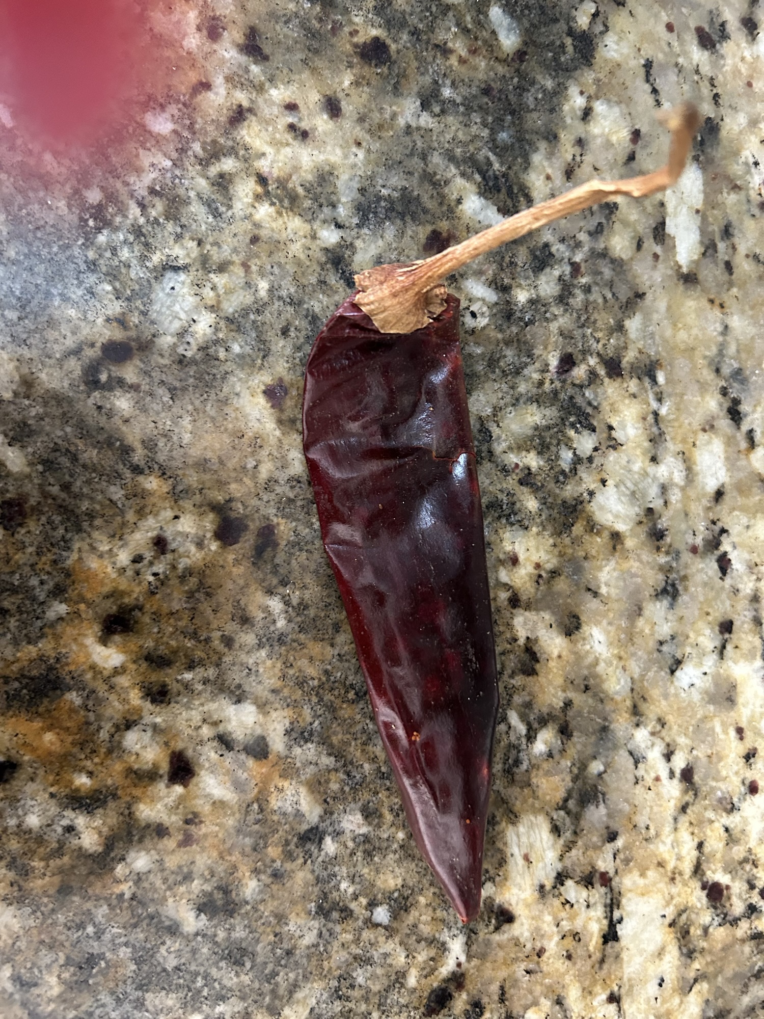 Sauce Soiree: My Fiery Attempt at Red Enchilada Sauce